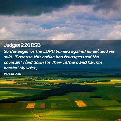 Picture 02 - Judges 2:20 BSB - So the anger of the LORD burned against Israel, - Bible Verse Picture