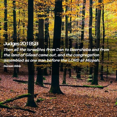 Picture 02 - Judges 20:1 BSB - Then all the Israelites from Dan to Beersheba and - Bible Verse Picture