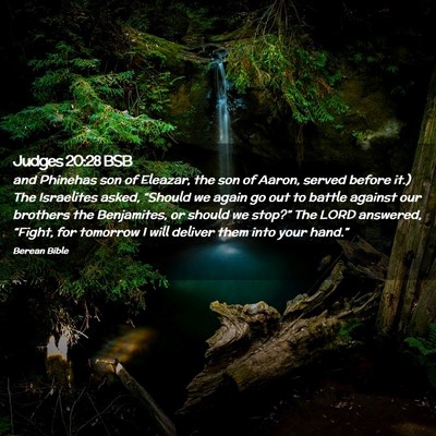 Picture 02 - Judges 20:28 BSB - and Phinehas son of Eleazar, the son of Aaron, - Bible Verse Picture