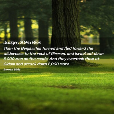 Picture 02 - Judges 20:45 BSB - Then the Benjamites turned and fled toward the - Bible Verse Picture