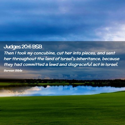 Picture 02 - Judges 20:6 BSB - Then I took my concubine, cut her into pieces, - Bible Verse Picture