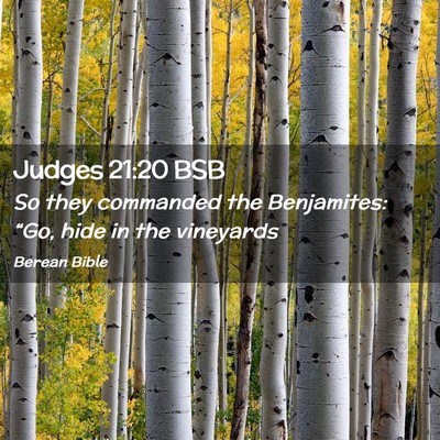 Picture 02 - Judges 21:20 BSB - So they commanded the Benjamites: “Go, hide in - Bible Verse Picture