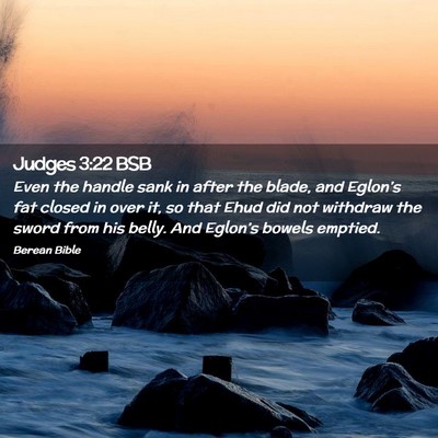 Picture 02 - Judges 3:22 BSB - Even the handle sank in after the blade, and - Bible Verse Picture