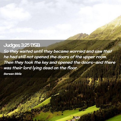 Picture 02 - Judges 3:25 BSB - So they waited until they became worried and saw - Bible Verse Picture