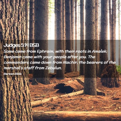Picture 02 - Judges 5:14 BSB - Some came from Ephraim, with their roots in - Bible Verse Picture
