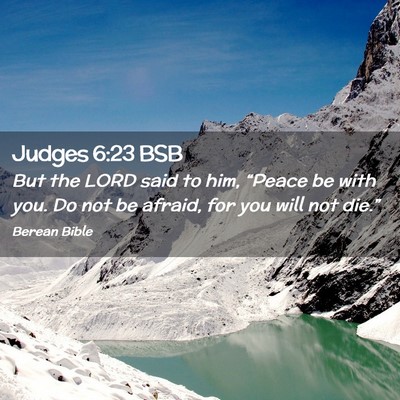 Picture 02 - Judges 6:23 BSB - But the LORD said to him, “Peace be with you. - Bible Verse Picture