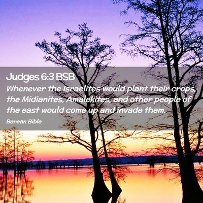 Picture 02 - Judges 6:3 BSB - Whenever the Israelites would plant their crops, - Bible Verse Picture