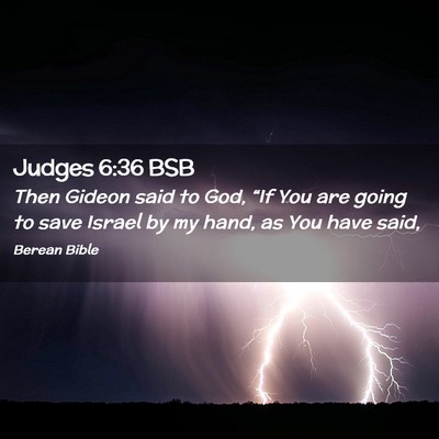 Picture 02 - Judges 6:36 BSB - Then Gideon said to God, “If You are going to - Bible Verse Picture