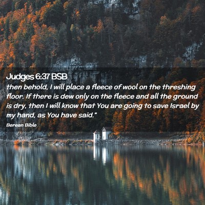 Picture 02 - Judges 6:37 BSB - then behold, I will place a fleece of wool on the - Bible Verse Picture