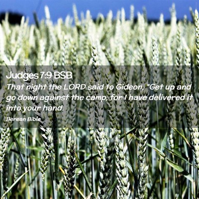 Picture 02 - Judges 7:9 BSB - That night the LORD said to Gideon, “Get up and - Bible Verse Picture