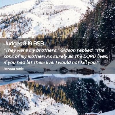 Picture 02 - Judges 8:19 BSB - “They were my brothers,” Gideon replied, - Bible Verse Picture