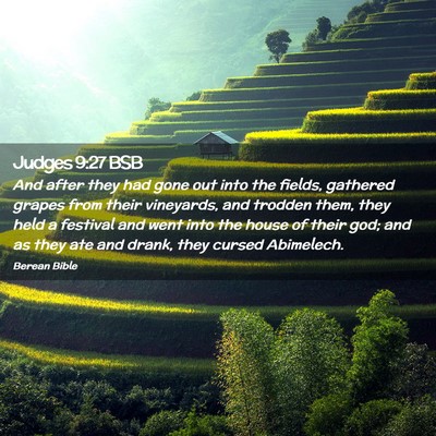 Picture 02 - Judges 9:27 BSB - And after they had gone out into the fields, - Bible Verse Picture