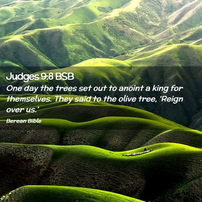 Picture 02 - Judges 9:8 BSB - One day the trees set out to anoint a king for - Bible Verse Picture