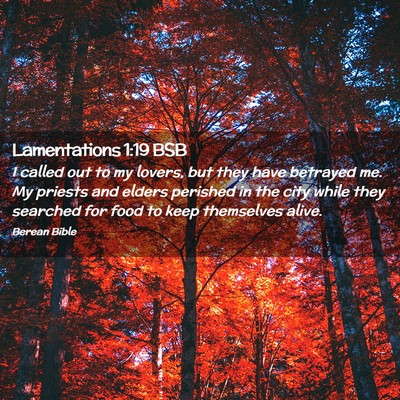 Picture 02 - Lamentations 1:19 BSB - I called out to my lovers, but they have betrayed - Bible Verse Picture