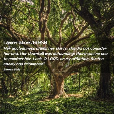 Picture 02 - Lamentations 1:9 BSB - Her uncleanness stains her skirts; she did not - Bible Verse Picture