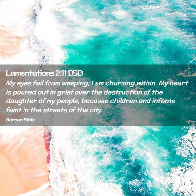Picture 02 - Lamentations 2:11 BSB - My eyes fail from weeping; I am churning within. - Bible Verse Picture
