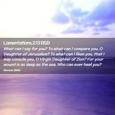 Picture 02 - Lamentations 2:13 BSB - What can I say for you? To what can I compare - Bible Verse Picture