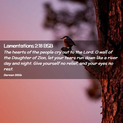Picture 02 - Lamentations 2:18 BSB - The hearts of the people cry out to the Lord. O - Bible Verse Picture
