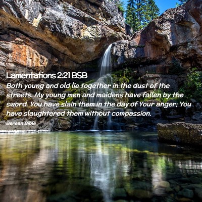 Picture 02 - Lamentations 2:21 BSB - Both young and old lie together in the dust of - Bible Verse Picture