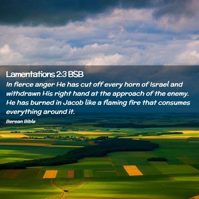 Picture 02 - Lamentations 2:3 BSB - In fierce anger He has cut off every horn of - Bible Verse Picture