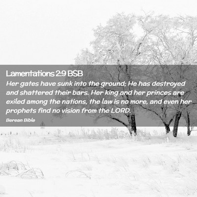 Picture 02 - Lamentations 2:9 BSB - Her gates have sunk into the ground; He has - Bible Verse Picture