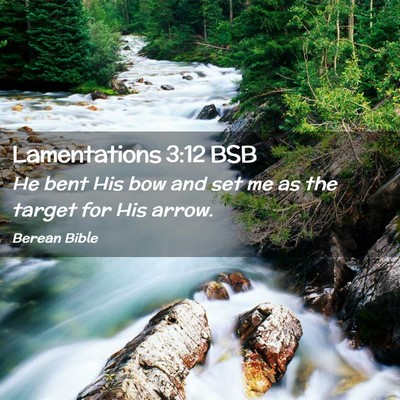 Picture 02 - Lamentations 3:12 BSB - He bent His bow and set me as the target for His - Bible Verse Picture