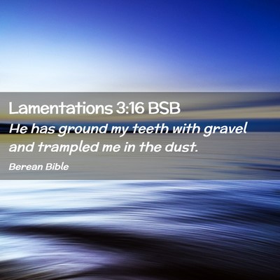 Picture 02 - Lamentations 3:16 BSB - He has ground my teeth with gravel and trampled - Bible Verse Picture