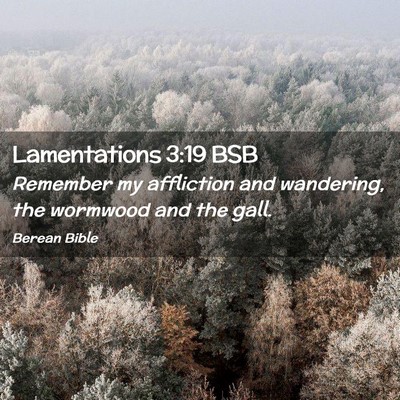 Picture 02 - Lamentations 3:19 BSB - Remember my affliction and wandering, the - Bible Verse Picture