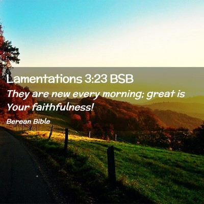 Picture 02 - Lamentations 3:23 BSB - They are new every morning; great is Your - Bible Verse Picture