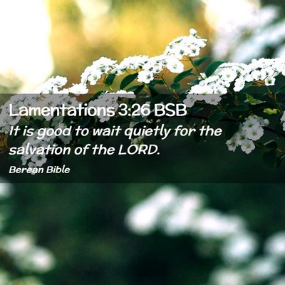 Picture 02 - Lamentations 3:26 BSB - It is good to wait quietly for the salvation of - Bible Verse Picture