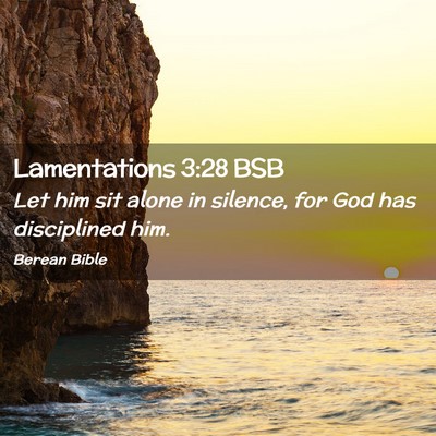 Picture 02 - Lamentations 3:28 BSB - Let him sit alone in silence, for God has - Bible Verse Picture