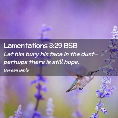 Picture 02 - Lamentations 3:29 BSB - Let him bury his face in the dust—perhaps there - Bible Verse Picture