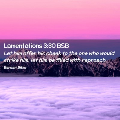 Picture 02 - Lamentations 3:30 BSB - Let him offer his cheek to the one who would - Bible Verse Picture