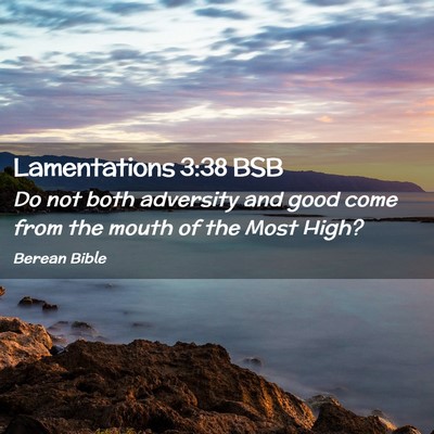 Picture 02 - Lamentations 3:38 BSB - Do not both adversity and good come from the - Bible Verse Picture