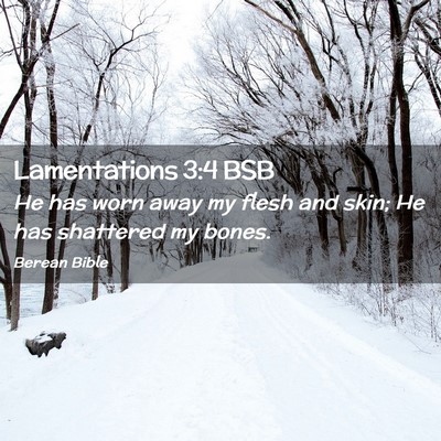 Picture 02 - Lamentations 3:4 BSB - He has worn away my flesh and skin; He has - Bible Verse Picture
