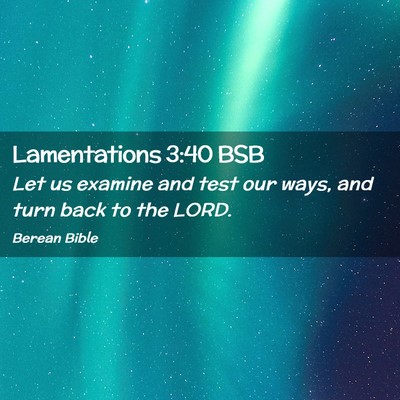 Picture 02 - Lamentations 3:40 BSB - Let us examine and test our ways, and turn back - Bible Verse Picture