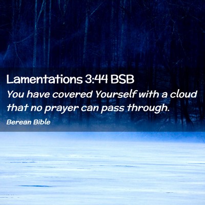 Picture 02 - Lamentations 3:44 BSB - You have covered Yourself with a cloud that no - Bible Verse Picture