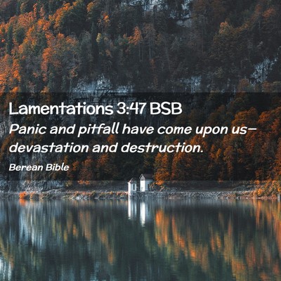 Picture 02 - Lamentations 3:47 BSB - Panic and pitfall have come upon us—devastation - Bible Verse Picture