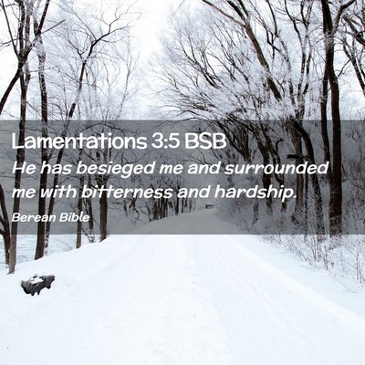 Picture 02 - Lamentations 3:5 BSB - He has besieged me and surrounded me with - Bible Verse Picture