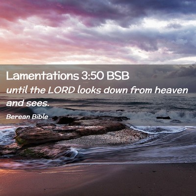 Picture 02 - Lamentations 3:50 BSB - until the LORD looks down from heaven and - Bible Verse Picture