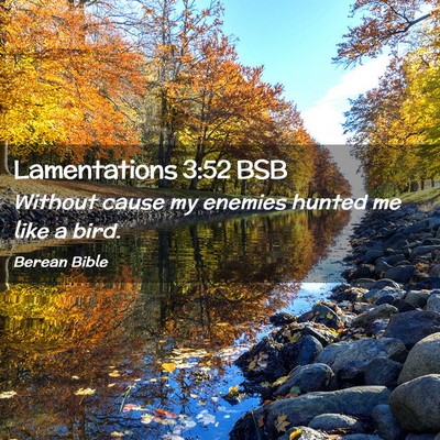 Picture 02 - Lamentations 3:52 BSB - Without cause my enemies hunted me like a - Bible Verse Picture