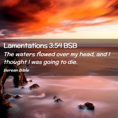 Picture 02 - Lamentations 3:54 BSB - The waters flowed over my head, and I thought I - Bible Verse Picture