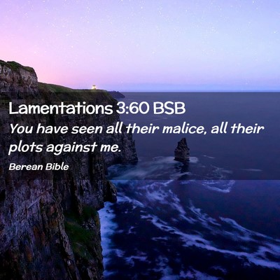 Picture 02 - Lamentations 3:60 BSB - You have seen all their malice, all their plots - Bible Verse Picture