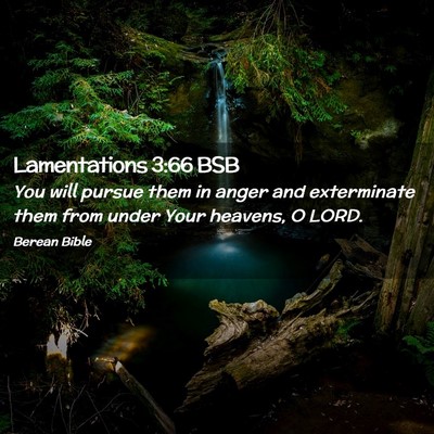 Picture 02 - Lamentations 3:66 BSB - You will pursue them in anger and exterminate - Bible Verse Picture