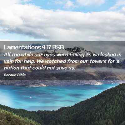 Picture 02 - Lamentations 4:17 BSB - All the while our eyes were failing as we looked - Bible Verse Picture