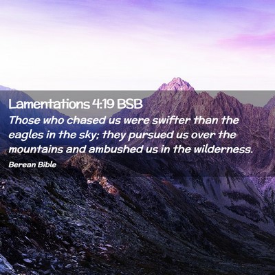 Picture 02 - Lamentations 4:19 BSB - Those who chased us were swifter than the eagles - Bible Verse Picture
