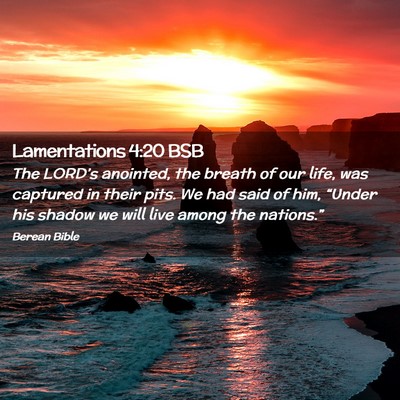 Picture 02 - Lamentations 4:20 BSB - The LORD’s anointed, the breath of our life, - Bible Verse Picture