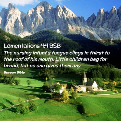 Picture 02 - Lamentations 4:4 BSB - The nursing infant’s tongue clings in thirst to - Bible Verse Picture