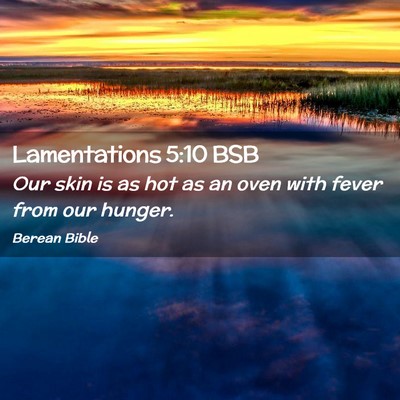 Picture 02 - Lamentations 5:10 BSB - Our skin is as hot as an oven with fever from our - Bible Verse Picture