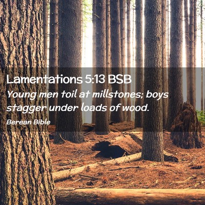Picture 02 - Lamentations 5:13 BSB - Young men toil at millstones; boys stagger under - Bible Verse Picture